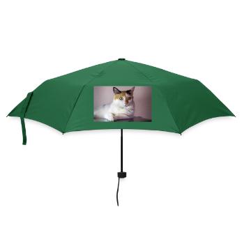 Die Katze mit dem süßen Look - Regenschirm (klein) - Flaschengrün - Vorne