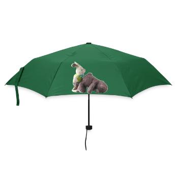 Teddybär Hase - Regenschirm (klein) - Flaschengrün - Vorne