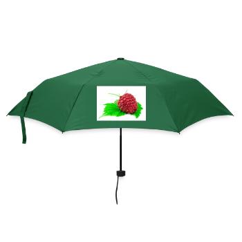 Himbeere. raspberry - Regenschirm (klein) - Flaschengrün - Vorne