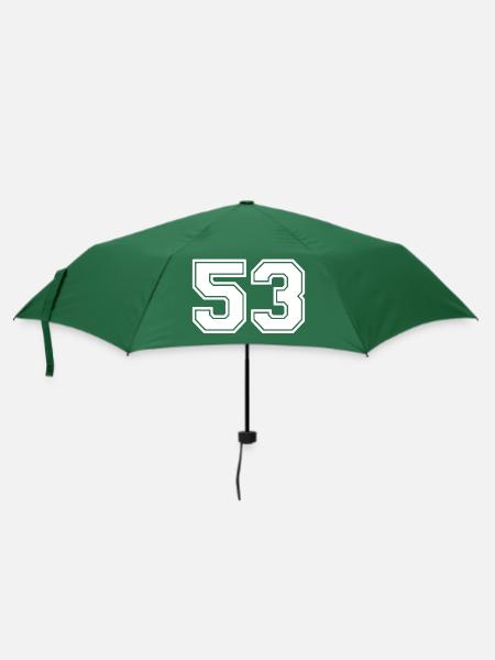 53 - Regenschirm (klein) - Flaschengrün