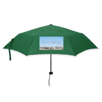 Über den Wolken Vögel - Regenschirm (klein) - Flaschengrün - Vorne