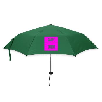 der Tag ist wunderbar - Regenschirm (klein) - Flaschengrün - Vorne