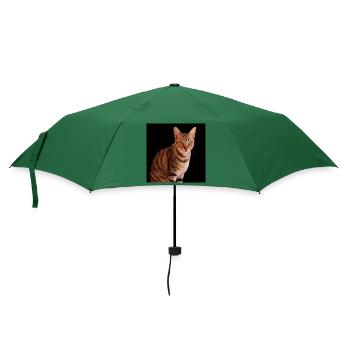 Katze Katze süßes Kätzchen - Regenschirm (klein) - Flaschengrün - Vorne