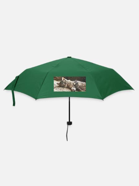 Tigrou der kleine Kater - Regenschirm (klein) - Flaschengrün