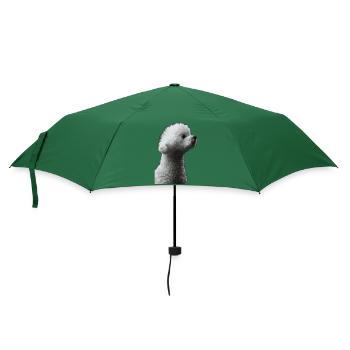 Bichon Frisé - Regenschirm (klein) - Flaschengrün - Vorne
