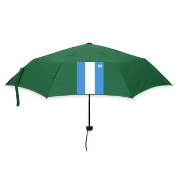 Argentinien Geschenk Argentina Argentine Flagge - Regenschirm (klein) - Flaschengrün - Vorne