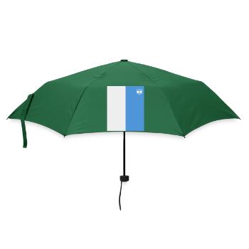 Argentinien Geschenk Argentina Argentine Flagge - Regenschirm (klein) - Flaschengrün - Vorne