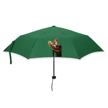 Hahn Klavier - Regenschirm (klein) - Flaschengrün - Vorne