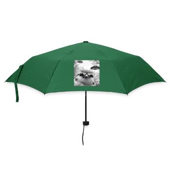 Meise - Regenschirm (klein) - Flaschengrün - Vorne