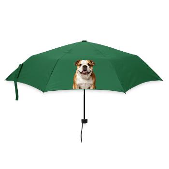Englisches Bulldoggen-Hundegesicht - Regenschirm (klein) - Flaschengrün - Vorne