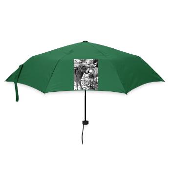 Zwei Esel - Regenschirm (klein) - Flaschengrün - Vorne