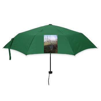 Morgendämmerung - Regenschirm (klein) - Flaschengrün - Vorne