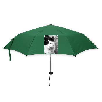 Katzen - Regenschirm (klein) - Flaschengrün - Vorne