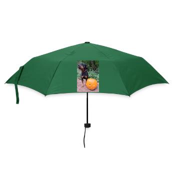 Kürbis Hund Halloween Herbst - Regenschirm (klein) - Flaschengrün - Vorne