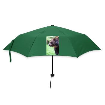 Braunbär Ursus arctos - Regenschirm (klein) - Flaschengrün - Vorne