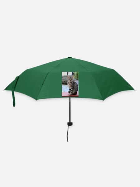 Katze - Regenschirm (klein) - Flaschengrün