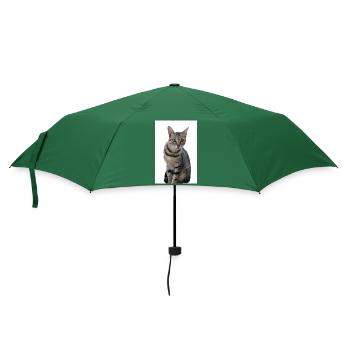 Katze Katze Schwarzes Kätzchen - Regenschirm (klein) - Flaschengrün - Vorne