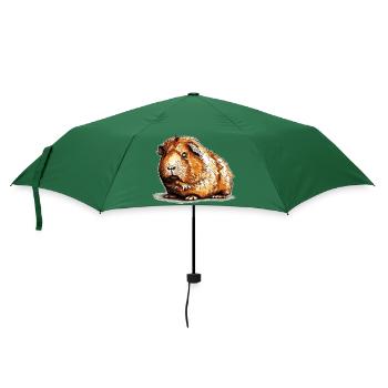Meerschweinchen sind einfach tolle Haustiere - Regenschirm (klein) - Flaschengrün - Vorne