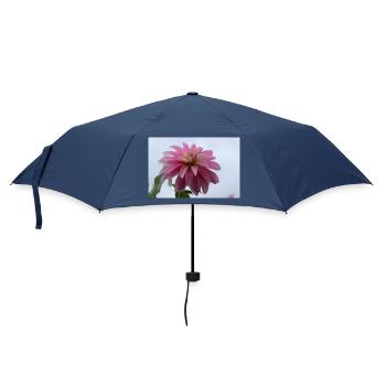 Dahlia rose rose fleur, fleur - Parapluie standard - marine - Devant