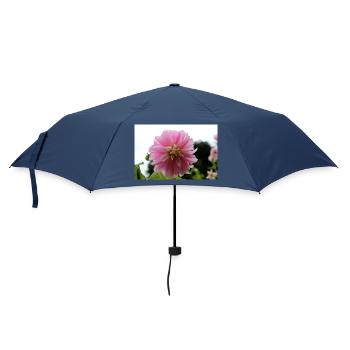 Dahlia rose rose fleur, fleur - Parapluie standard - marine - Devant
