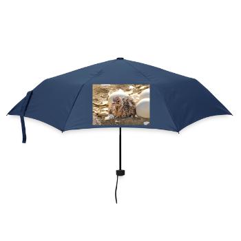 Straussenküken im Nest mit Eierschalen - Regenschirm (klein) - Navy - Vorne