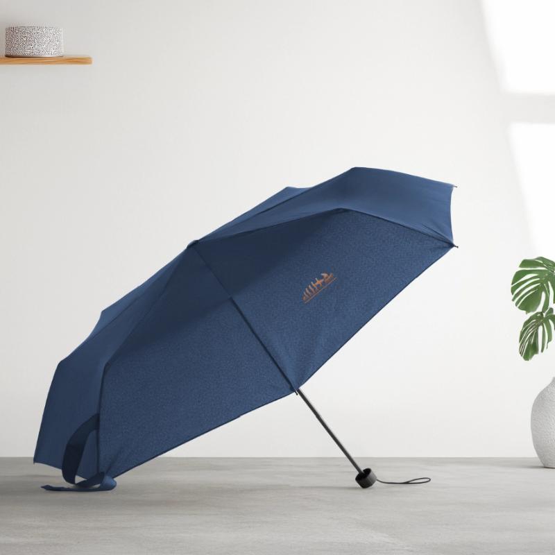 Surfing until evolution - Surfing until evolution Umbrella (small)