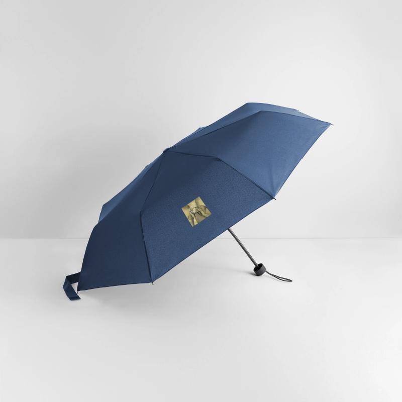 Regenschirm (klein)
