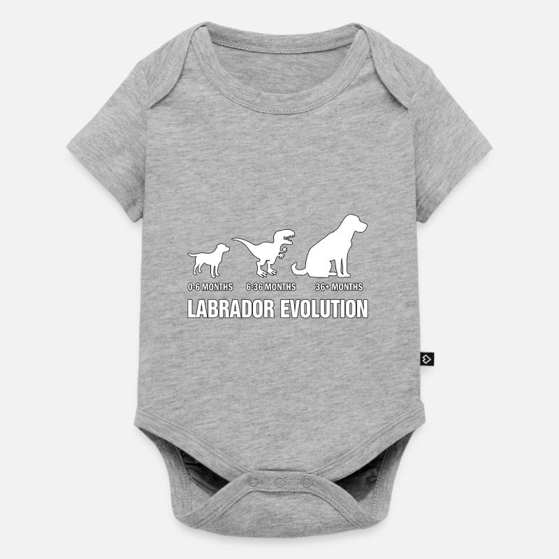 Évolution du Labrador - Body à manches courtes Premium Bébé - gris chiné