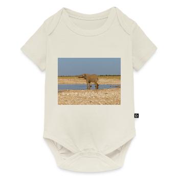 elephant and Landscape in a Etosha National Park - Baby Premium short-sleeve bodysuit - off white - Front