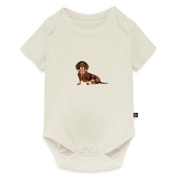 Flower Dachshund, Dachshund, Dog, Flowers - Baby Premium short-sleeve bodysuit - off white - Front