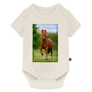 Icelandic horse running in tölt over meadow horse photo - Baby Premium short-sleeve bodysuit - off white - Front