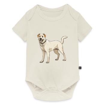 Chien Kangal - Body à manches courtes Premium Bébé - blanc cassé - Devant