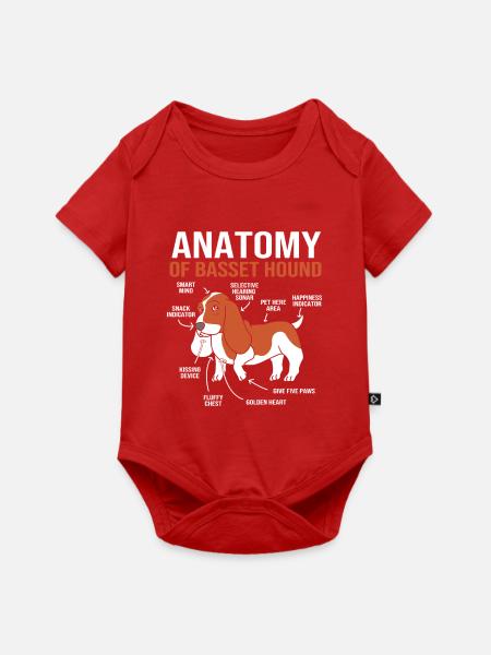 Basset Hound - Baby Premium Kurzarmbody - Rot