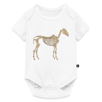 Paleolithic Skeleton Horse - Baby Premium short-sleeve bodysuit - white - Front