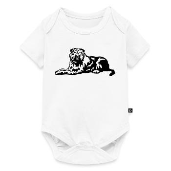 Bouvier de Flandres - Baby Premium short-sleeve bodysuit - white - Front