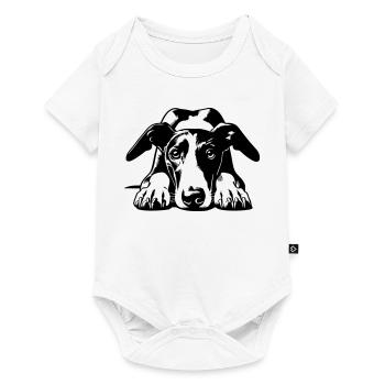 Galgo Head with Paws - Baby Premium short-sleeve bodysuit - white - Front