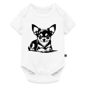 Chihuahua - Body à manches courtes Premium Bébé - blanc - Devant