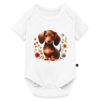 Dachshund Dachshund Dogs Puppy - Baby Premium short-sleeve bodysuit - white - Front