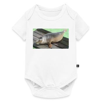 Seal pup on Texel - Baby Premium short-sleeve bodysuit - white - Front