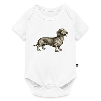 Dachshund Vintage Illustration - Baby Premium short-sleeve bodysuit - white - Front