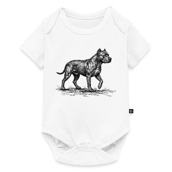 Croquis de pitbull – Design minimaliste de chien - Body à manches courtes Premium Bébé - blanc - Devant