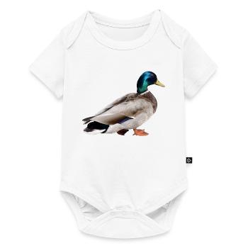 Mallard Male - Baby Premium short-sleeve bodysuit - white - Front