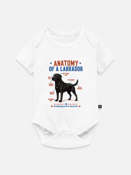 Black Labrador Anatomie Shirt - Baby Premium Kurzarmbody - Weiß