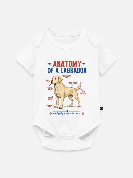 Yellow Labrador Anatomie Shirt - Baby Premium Kurzarmbody - Weiß