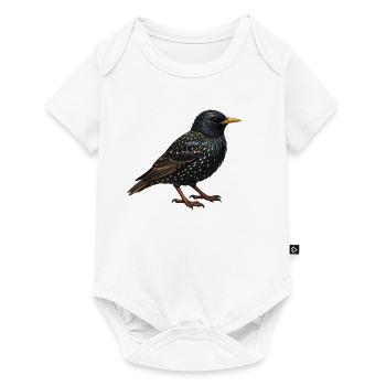Star Vogel  - Baby Premium Kurzarmbody - Weiß - Vorne