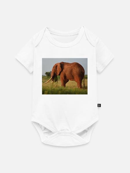 Elefant auf Savanne - Baby Premium Kurzarmbody - Weiß