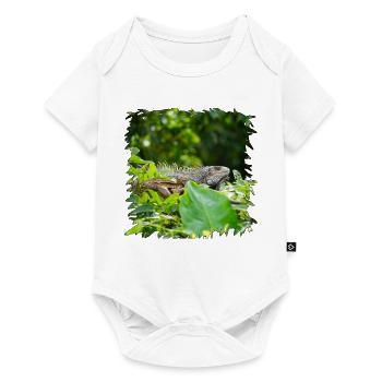 Dschungel-Leguan im Blätterdach - Baby Premium Kurzarmbody - Weiß - Vorne