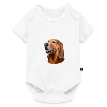 Segugio Italiano Italienischer Hund Aquarell Illustrati - Baby Premium Kurzarmbody - Weiß - Vorne