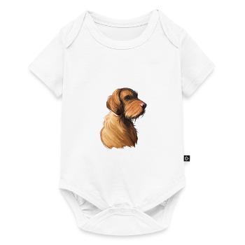 Illustration à l’aquarelle de chien Vizsla à poil filaire - Body à manches courtes Premium Bébé - blanc - Devant