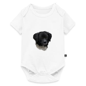 Illustration de l’aquarelle du chien Wetterhoun - Body à manches courtes Premium Bébé - blanc - Devant